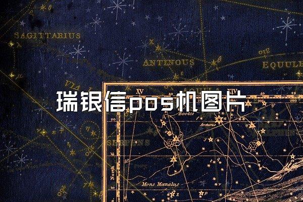 瑞银信pos机图片