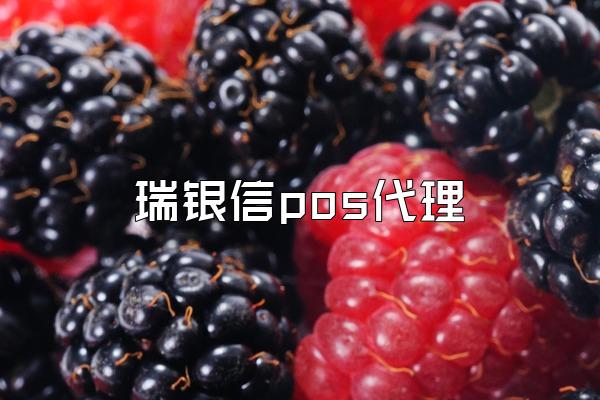 瑞银信pos代理