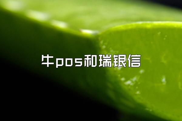 牛pos和瑞银信