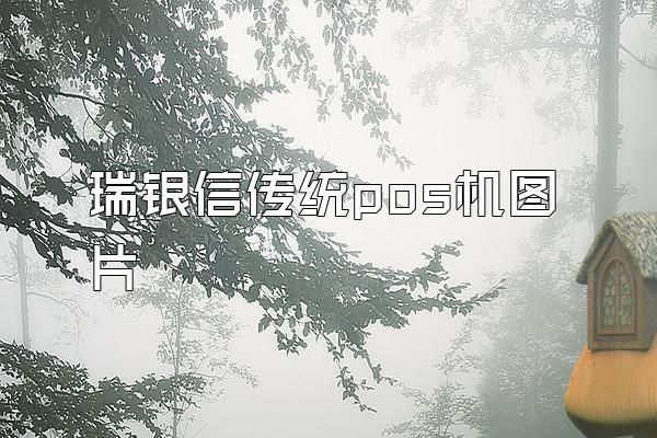 瑞银信传统pos机图片